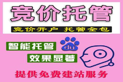 某品牌SEM广告投放的优化过程与效果